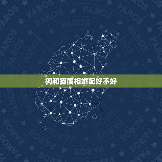狗和猫属相婚配好不好，十二生肖中什么生肖结婚最般配呢？