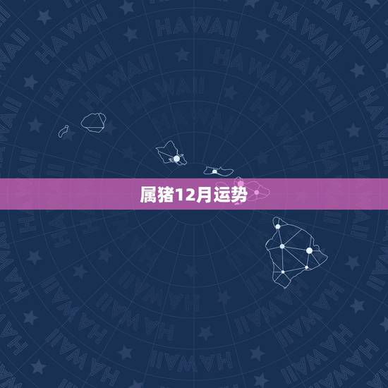 属猪12月运势，l5年属猪女阳历十二月运势