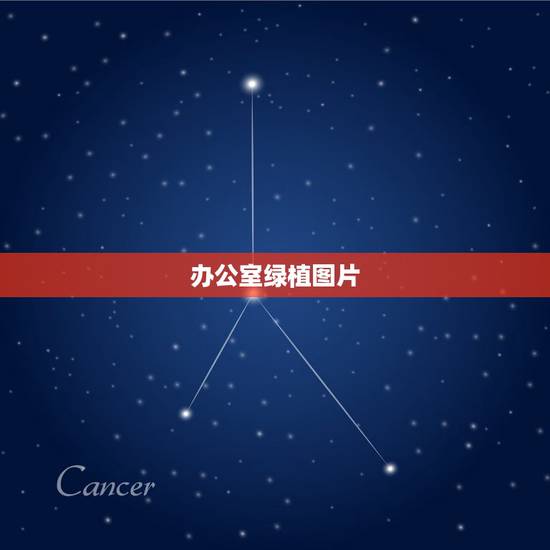 办公室绿植图片,最适合在办公室养的10种绿植是哪些 办公室绿植图片,最适合在办公室养的10种绿植是哪些