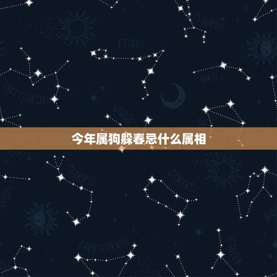 今年属狗躲春忌什么属相，立春躲春的禁忌