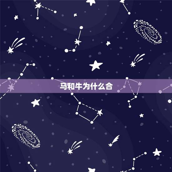 马和牛为什么合，90年马和97年牛婚配
