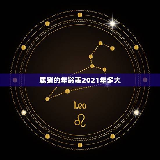 属猪的年龄表2021年多大,属猪的2021年多大 属猪的年龄表2021年多大,属猪的2021年多大
