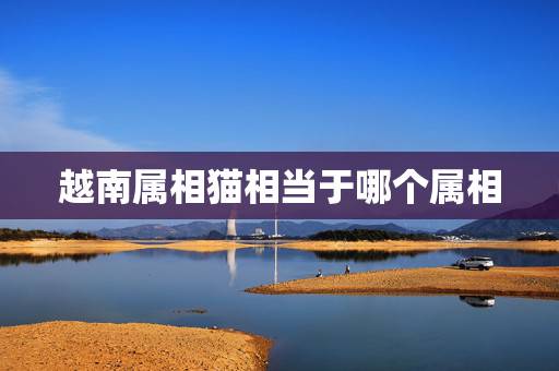 越南属相猫相当于哪个属相，哪个国家的属相里有属猫的