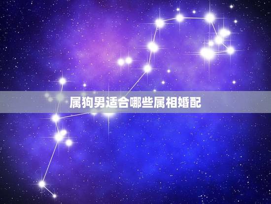 属狗男适合哪些属相婚配,请问属狗的和什么属相最配? 属狗男适合哪些属相婚配,请问属狗的和什么属相最配?