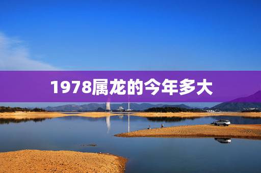 1978属龙的今年多大,1994年属狗今年多少岁 1978属龙的今年多大,1994年属狗今年多少岁