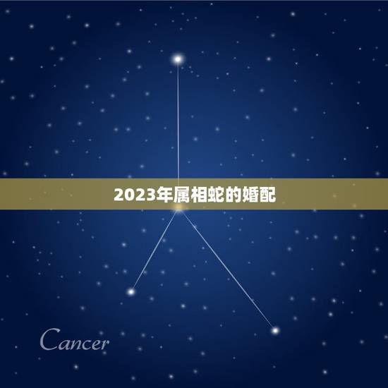 2023年属相蛇的婚配,属相婚配:男属蛇和女属鼠相配吗 2023年属相蛇的婚配,属相婚配:男属蛇和女属鼠相配吗