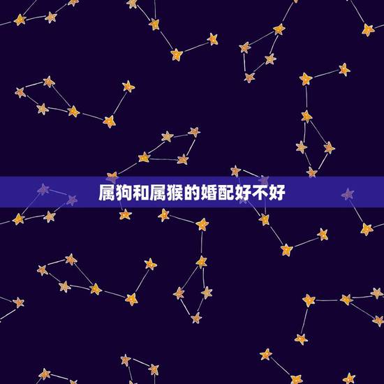属狗和属猴的婚配好不好,属猴的和什么属相最配 属狗和属猴的婚配好不好,属猴的和什么属相最配