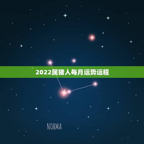 2022属猪人每月运势运程,2022属猪人的全年运势如何 2022属猪人每月运势运程,2022属猪人的全年运势如何
