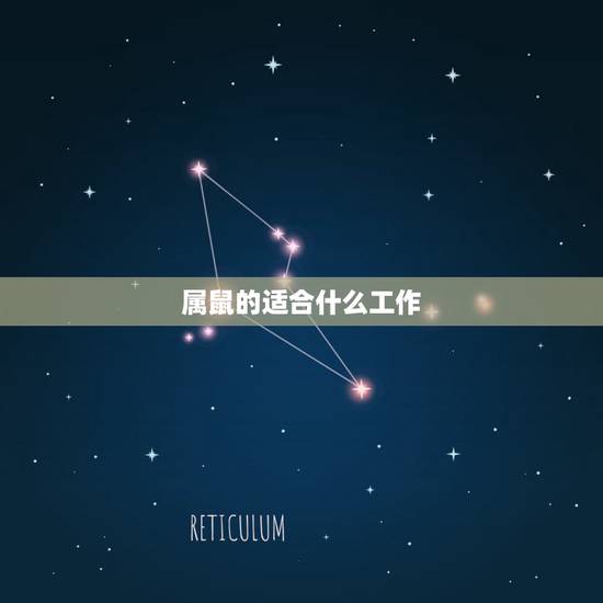 属鼠的适合什么工作，最适合属鼠人的昵称