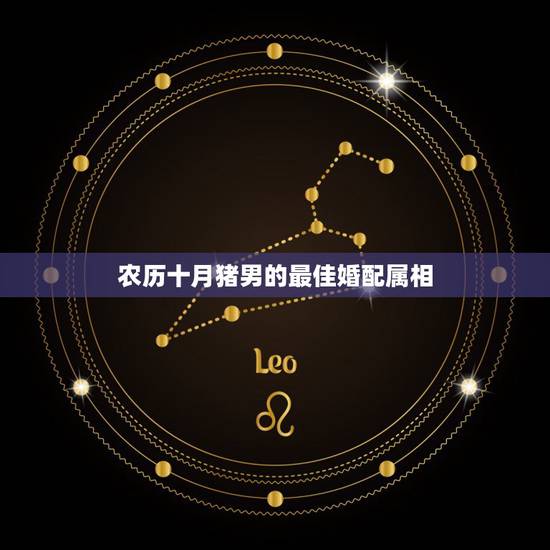 农历十月猪男的最佳婚配属相，属猪的属相婚配表，属猪的和什么属相最配，属