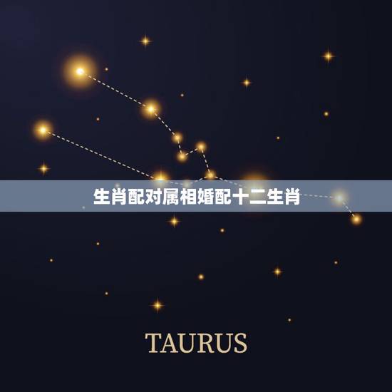 生肖配对属相婚配十二生肖 婚姻生肖最佳搭配表 生肖配对属相婚配十二生肖 婚姻生肖最佳搭配表