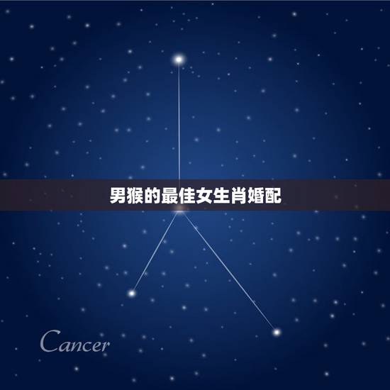 男猴的最佳女生肖婚配，92年男猴配什么属相好