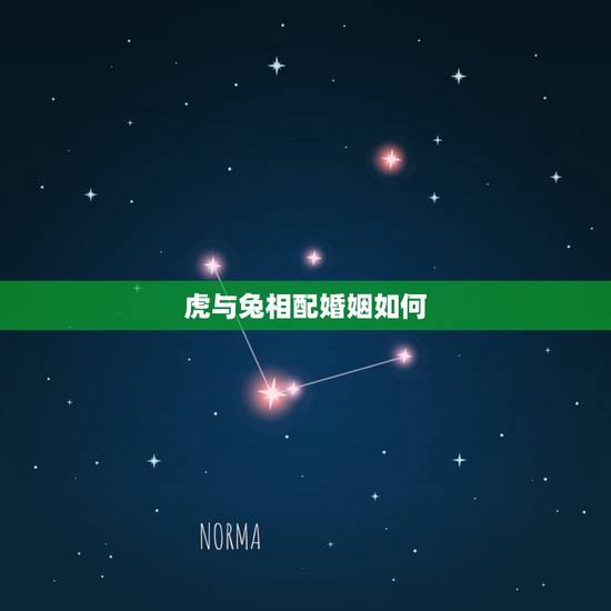 虎与兔相配婚姻如何,虎和兔能做夫妻吗. 虎与兔相配婚姻如何,虎和兔能做夫妻吗.