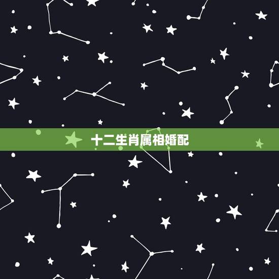 十二生肖属相婚配,十二生肖婚配 十二生肖属相婚配,十二生肖婚配