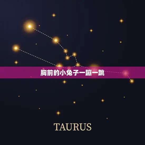 胸前的小兔子一蹦一跳 胸前的小兔子一蹦一跳