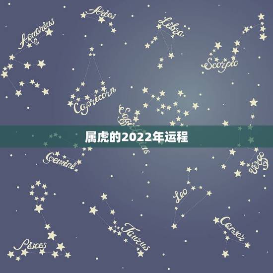 属虎的2022年运程，2022属虎的每月的运气