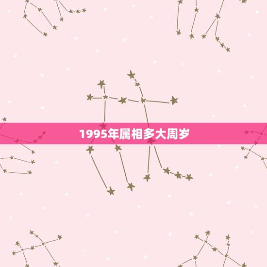 1995年属相多大周岁，93年属鸡的今年虚岁是多少sh岁