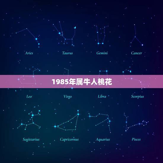 1985年属牛人桃花，我属牛1985年一生当中有几次桃花运