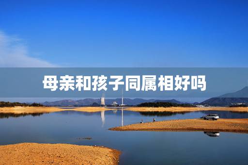 母亲和孩子同属相好吗,母亲和儿女同一属相猴好吗? 母亲和孩子同属相好吗,母亲和儿女同一属相猴好吗?
