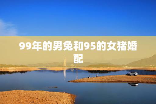 99年的男兔和95的女猪婚配,99属兔男和95属猪女配不配。 99年的男兔和95的女猪婚配,99属兔男和95属猪女配不配。