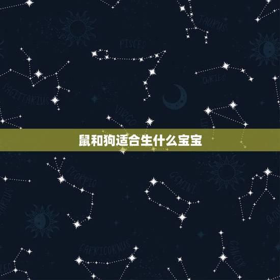 鼠和狗适合生什么宝宝,女狗男鼠夫妻生什么宝宝 鼠和狗适合生什么宝宝,女狗男鼠夫妻生什么宝宝