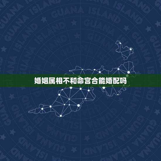 婚姻属相不和命宫合能婚配吗，属相不合的人能在一起吗？
