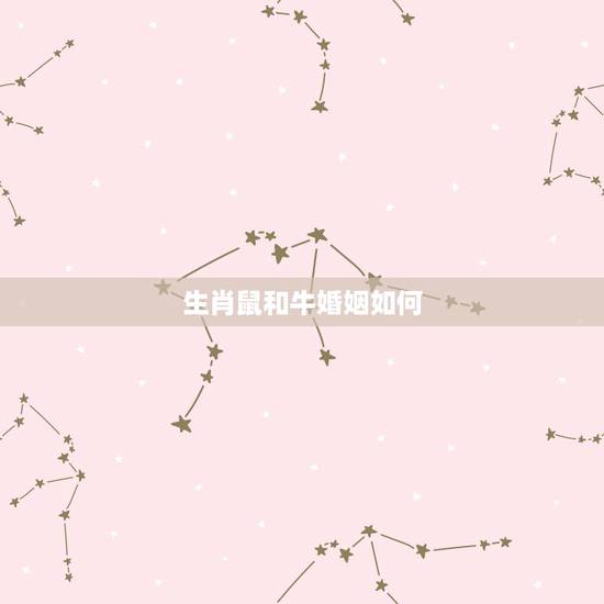生肖鼠和牛婚姻如何，属牛和属鼠婚姻如何