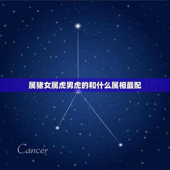 属猪女属虎男虎的和什么属相最配,属虎和属猪相配吗 属猪女属虎男虎的和什么属相最配,属虎和属猪相配吗