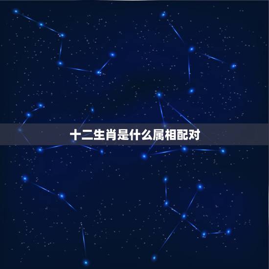 十二生肖是什么属相配对,十二生肖属相婚姻相配 十二生肖是什么属相配对,十二生肖属相婚姻相配