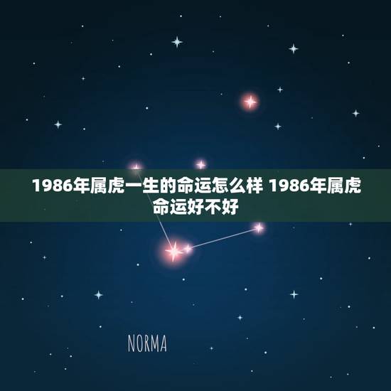 1986年属虎一生的命运怎么样 1986年属虎命运好不好 1986年属虎一生的命运怎么样 1986年属虎命运好不好