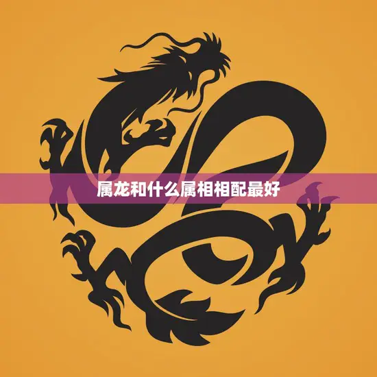 属龙和什么属相相配最好(如何选择最佳配偶)