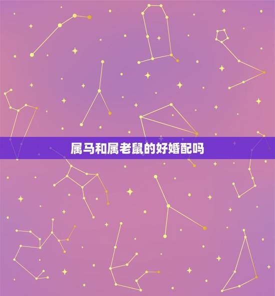属马和属老鼠的好婚配吗，属马的男生和属鼠的女生婚配好吗？