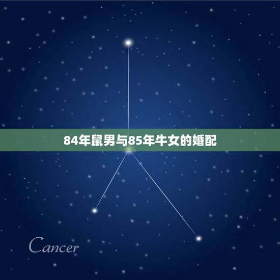 84年鼠男与85年牛女的婚配，84年鼠（男）85年牛（女）两个人合婚可