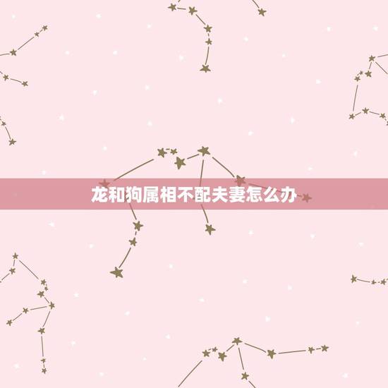 龙和狗属相不配夫妻怎么办,属龙的和属狗的结婚会相冲吗?为什么?怎么化解 龙和狗属相不配夫妻怎么办,属龙的和属狗的结婚会相冲吗?为什么?怎么化解
