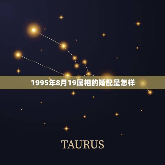 1995年8月19属相的婚配是怎样,我生于1984年10月8号,男友是 1995年8月19属相的婚配是怎样,我生于1984年10月8号,男友是