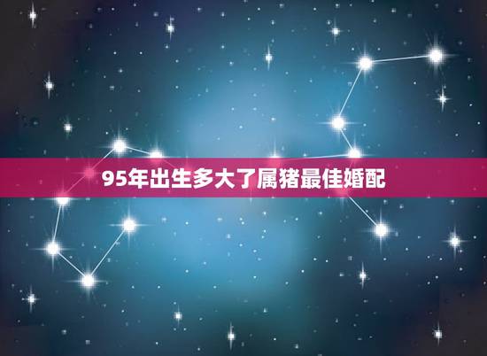 95年出生多大了属猪最佳婚配,95年属猪男的和什么属相最配 1995年 95年出生多大了属猪最佳婚配,95年属猪男的和什么属相最配 1995年