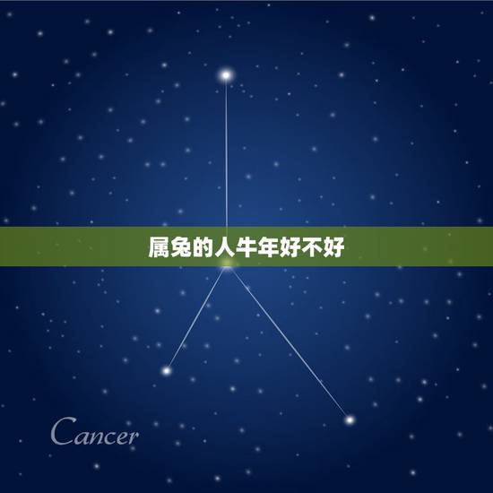 属兔的人牛年好不好，属蛇的人牛年好不好