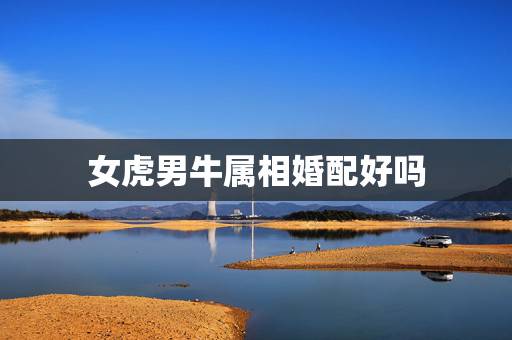 女虎男牛属相婚配好吗，男牛和女老虎属相配不