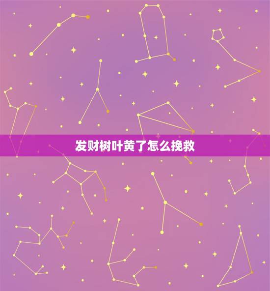 发财树叶黄了怎么挽救,发财树叶黄掉叶怎么补救 发财树叶黄了怎么挽救,发财树叶黄掉叶怎么补救