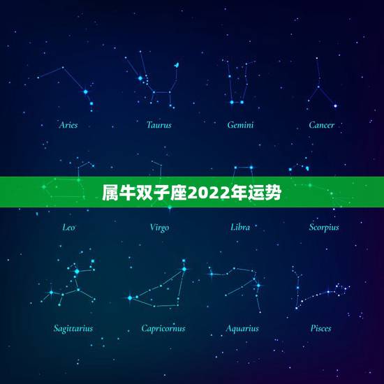 属牛双子座2022年运势，一九七三属牛双子座运气