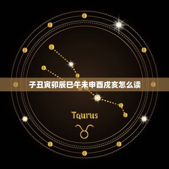 子丑寅卯辰巳午未申酉戌亥怎么读，子丑寅卯十二生肖