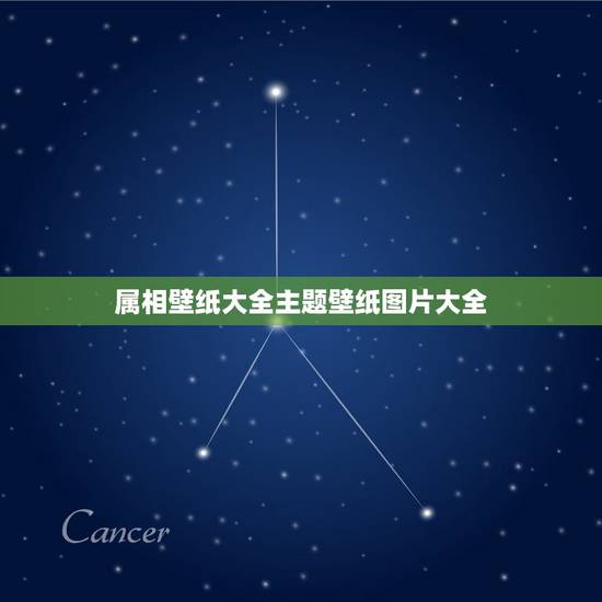 属相壁纸大全主题壁纸图片大全,vivo手机壁纸图片大全 属相壁纸大全主题壁纸图片大全,vivo手机壁纸图片大全