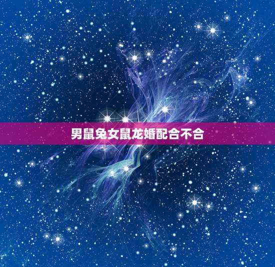 男鼠兔女鼠龙婚配合不合,男属兔女属龙可以婚配吗 男鼠兔女鼠龙婚配合不合,男属兔女属龙可以婚配吗