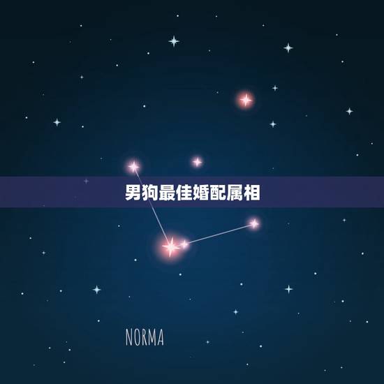 男狗最佳婚配属相,1994年的属狗和1991年的属羊的婚姻是否般配? 男狗最佳婚配属相,1994年的属狗和1991年的属羊的婚姻是否般配?