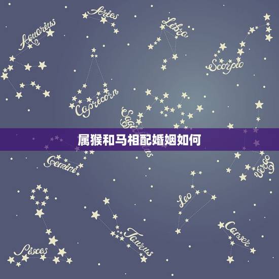 属猴和马相配婚姻如何，属猴和马配吗