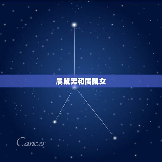 属鼠男和属鼠女，属鼠男和属鼠女相配吗