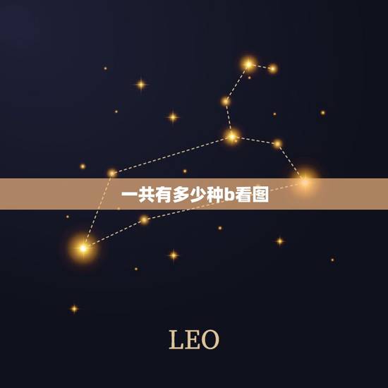 一共有多少种b看图，维生素B有多少种？