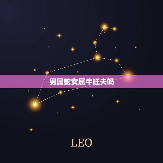 男属蛇女属牛旺夫吗,属牛跟属蛇的合不合 男属蛇女属牛旺夫吗,属牛跟属蛇的合不合