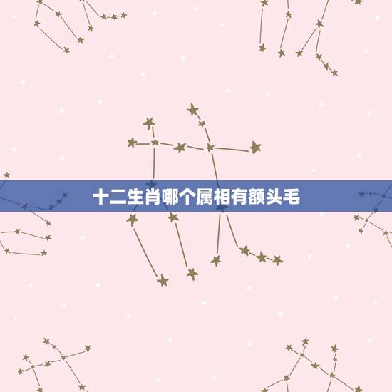 十二生肖哪个属相有额头毛,12生肖当中什么动物头上没有毛,答案要准确 十二生肖哪个属相有额头毛,12生肖当中什么动物头上没有毛,答案要准确