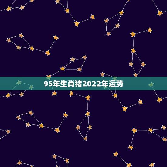 95年生肖猪2022年运势，2022年属猪人的全年运势